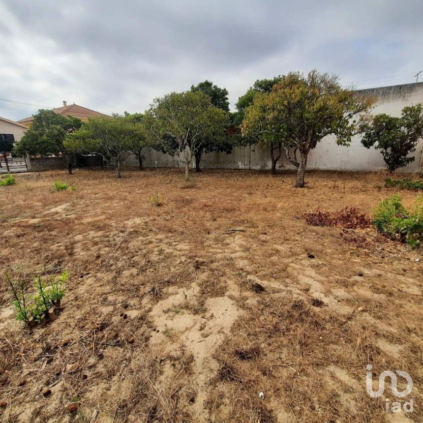 Building land in Muge of 375 m²