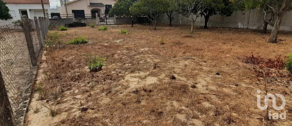 Building land in Muge of 375 m²