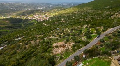Terrain à bâtir à Reguengo do Fetal de 1 331 m²