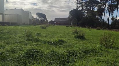Terrain à bâtir à Caranguejeira de 891 m²