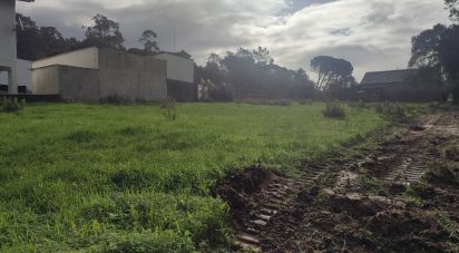 Terrain à bâtir à Caranguejeira de 891 m²