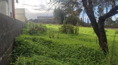 Terrain à bâtir à Caranguejeira de 891 m²