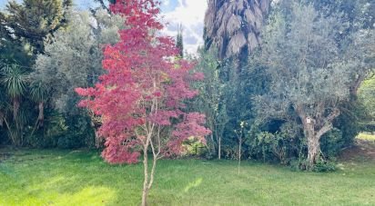 House T3 in Romeira e Várzea of 230 m²