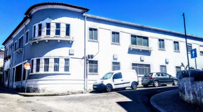 Armazém T0 em Oliveira do Douro de 450 m²