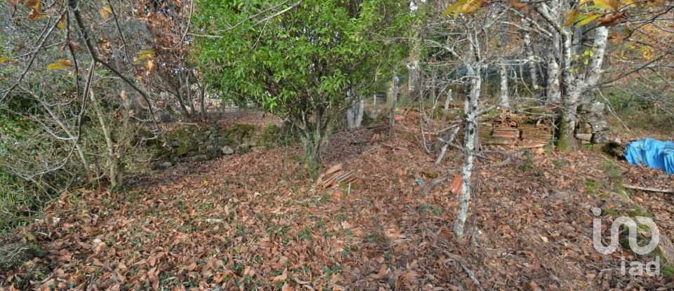 Moradia T2 em Espinhal de 50 m²