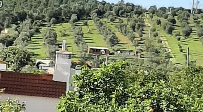 Maison T0 à Galveias de 59 m²