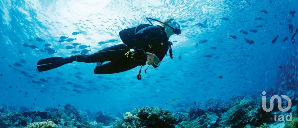 Apartment T2 in Lagoa e Carvoeiro of 105 m²