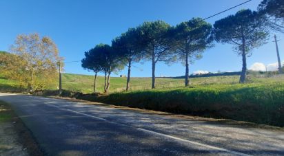 Building plot in Lamas e Cercal of 4,000 m²