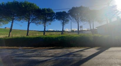 Building plot in Lamas e Cercal of 4,000 m²