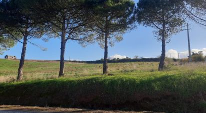 Building plot in Lamas e Cercal of 4,000 m²