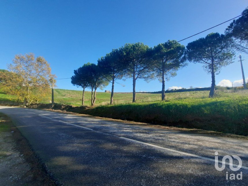 Building land in Lamas e Cercal of 4,000 m²