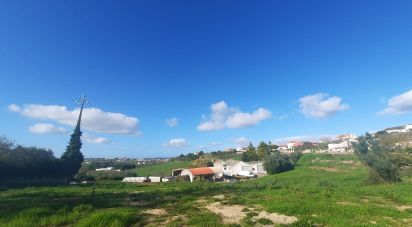 Building land in Lamas e Cercal of 4,000 m²