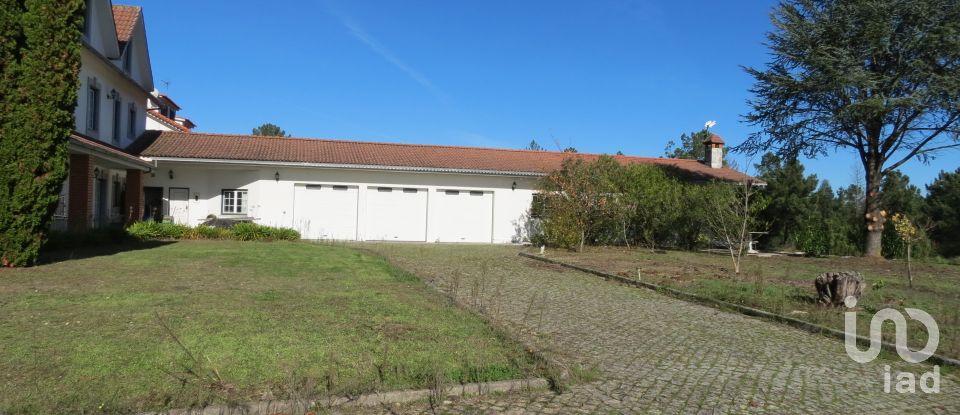 Quinta T9 em Rio de Moinhos de 690 m²