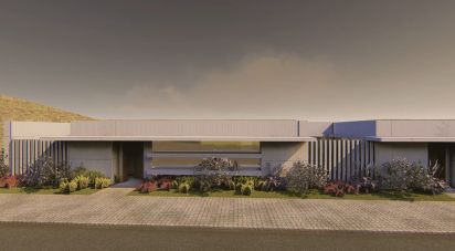 Building plot in Oliveira do Douro of 19,695 m²