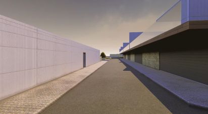 Terreno para construção em Oliveira do Douro de 19 695 m²