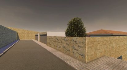 Building plot in Oliveira do Douro of 19,695 m²