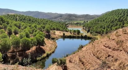 Land in Silves of 1,733,080 m²