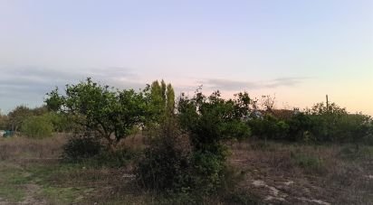 Land in Pinhal Novo of 4,750 m²