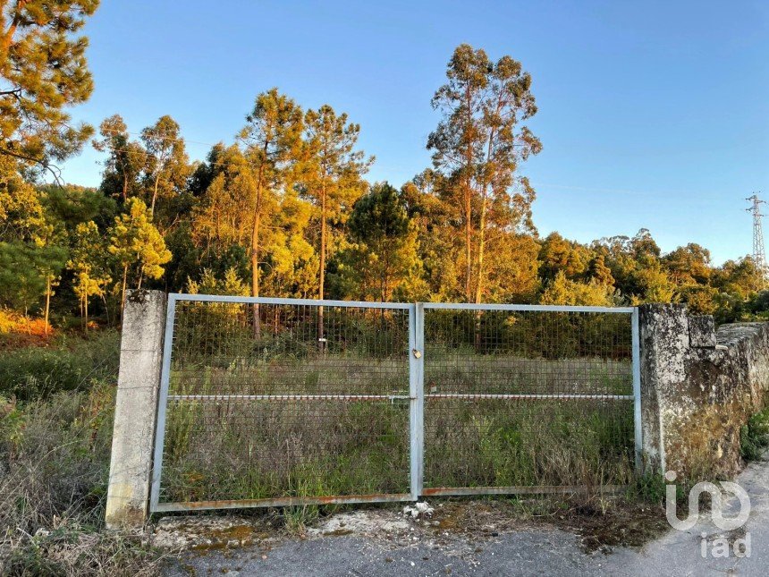 Land in Correlhã of 9,870 m²