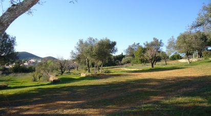 Terrain à bâtir à Almancil de 4 550 m²