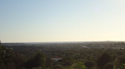 Terrain à bâtir à Almancil de 4 550 m²