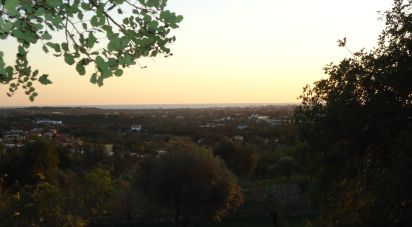 Terrain à bâtir à Almancil de 4 550 m²