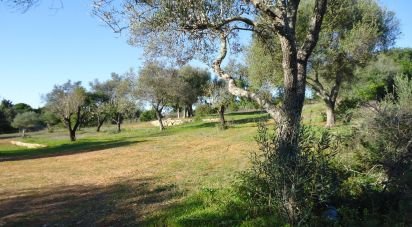 Building land in Almancil of 4,550 m²