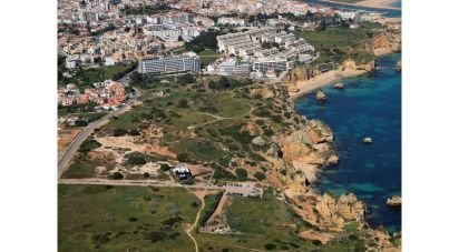 Terrain à São Gonçalo De Lagos de 9 000 m²