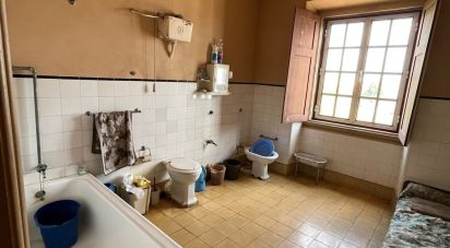 Maison traditionnelle T6 à Aljustrel e Rio de Moinhos de 597 m²