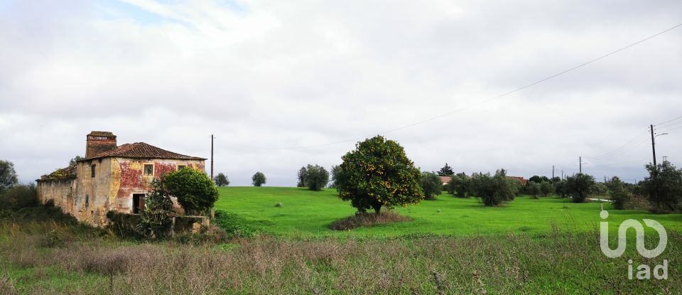 Land in Brogueira, Parceiros de Igreja e Alcorochel of 10,405 m²