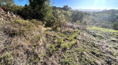 Terrain agricole à Alcobaça e Vestiaria de 11 000 m²