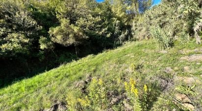 Terrain agricole à Alcobaça e Vestiaria de 11 000 m²