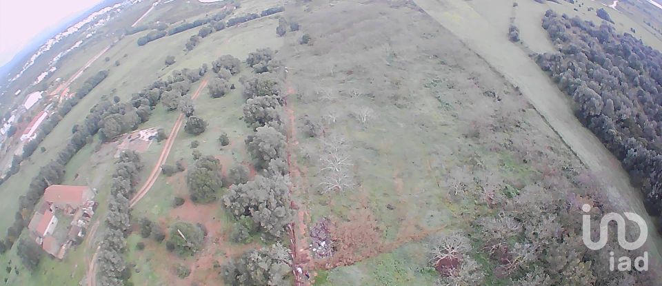 Agricultural land in Mexilhoeira Grande of 5,600 m²