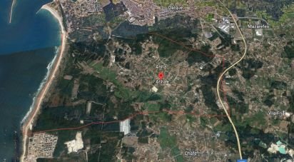 Land in Anha of 1,445 m²