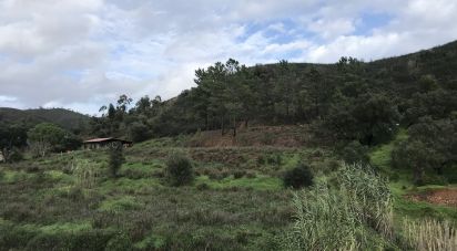 Terrain à Mexilhoeira Grande de 23 970 m²