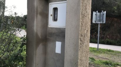 Terrain à Mexilhoeira Grande de 23 970 m²