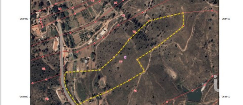 Land in Mexilhoeira Grande of 23,970 m²
