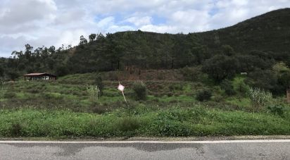 Terrain à Mexilhoeira Grande de 23 970 m²