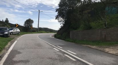 Terrain à Mexilhoeira Grande de 23 970 m²