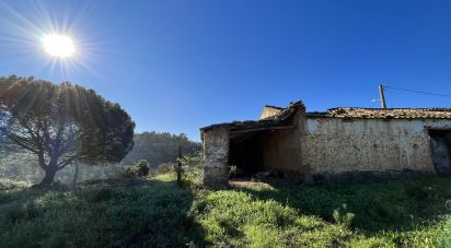 Ferme T3 à Santa Clara-a-Velha de 133 m²