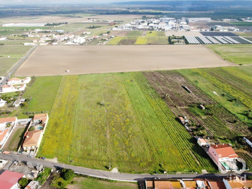 Land in Alpiarça of 6,080 m²