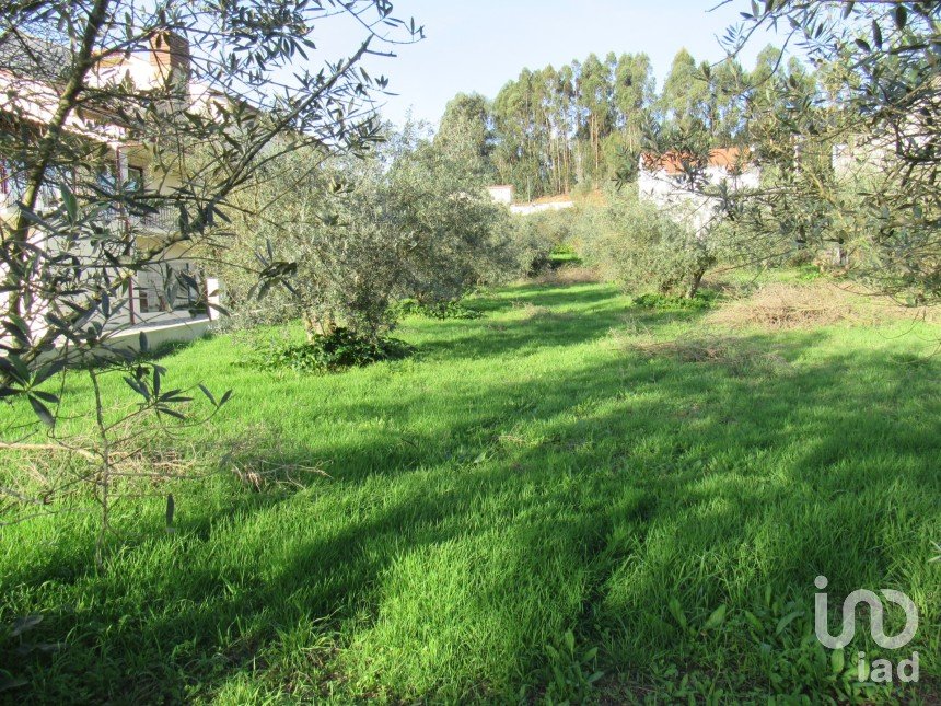 Land in Caranguejeira of 930 m²