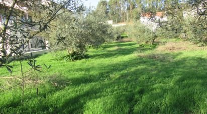 Land in Caranguejeira of 930 m²