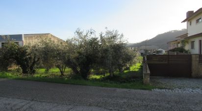 Terrain à Caranguejeira de 930 m²