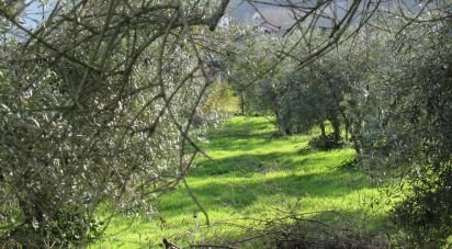 Terrain à Caranguejeira de 930 m²