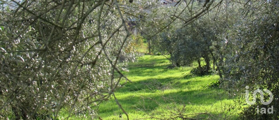 Land in Caranguejeira of 930 m²