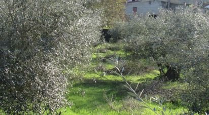 Land in Caranguejeira of 930 m²