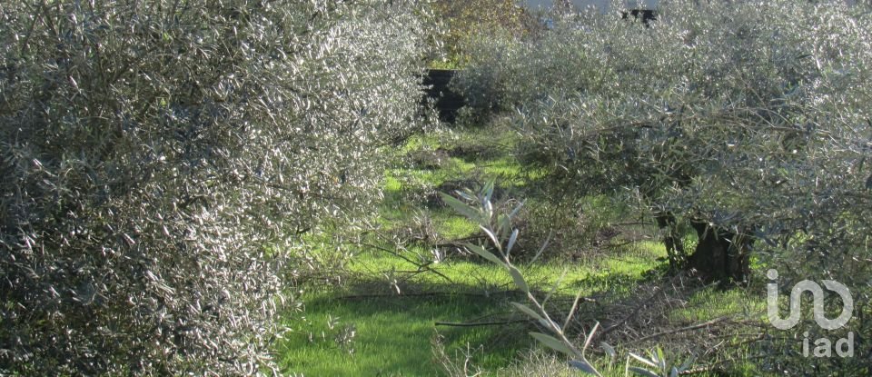 Land in Caranguejeira of 930 m²