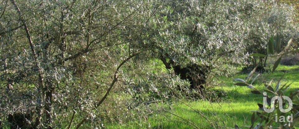 Land in Caranguejeira of 930 m²