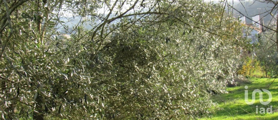 Land in Caranguejeira of 930 m²